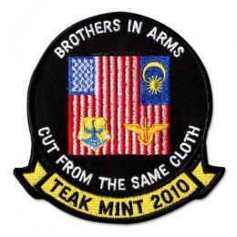 PA-256 – PATCH SHOP TIGER EMB